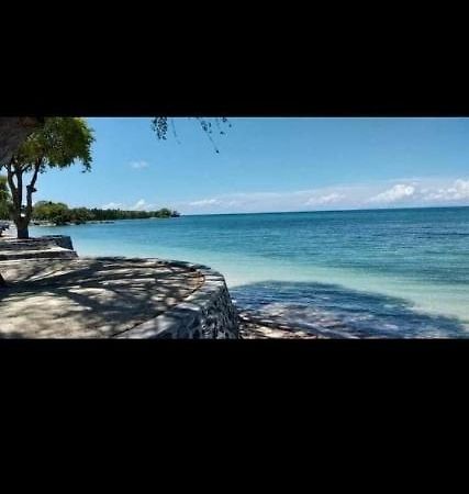 Beach House D Laiya Batangas ซานฮวน ภายนอก รูปภาพ